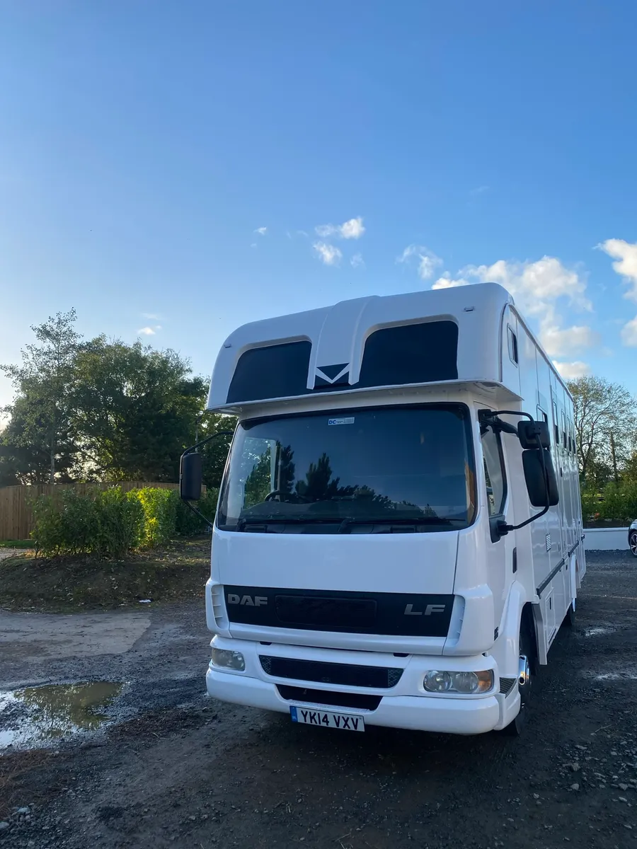 Daf 7.5 Ton Horse Truck For Sale - Image 4
