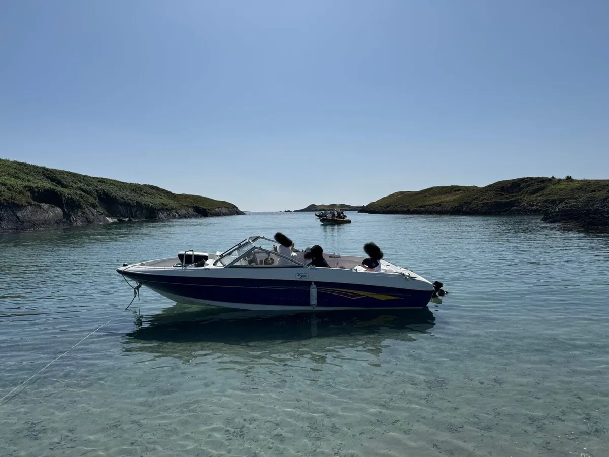 Boat bayliner 175 - Image 1