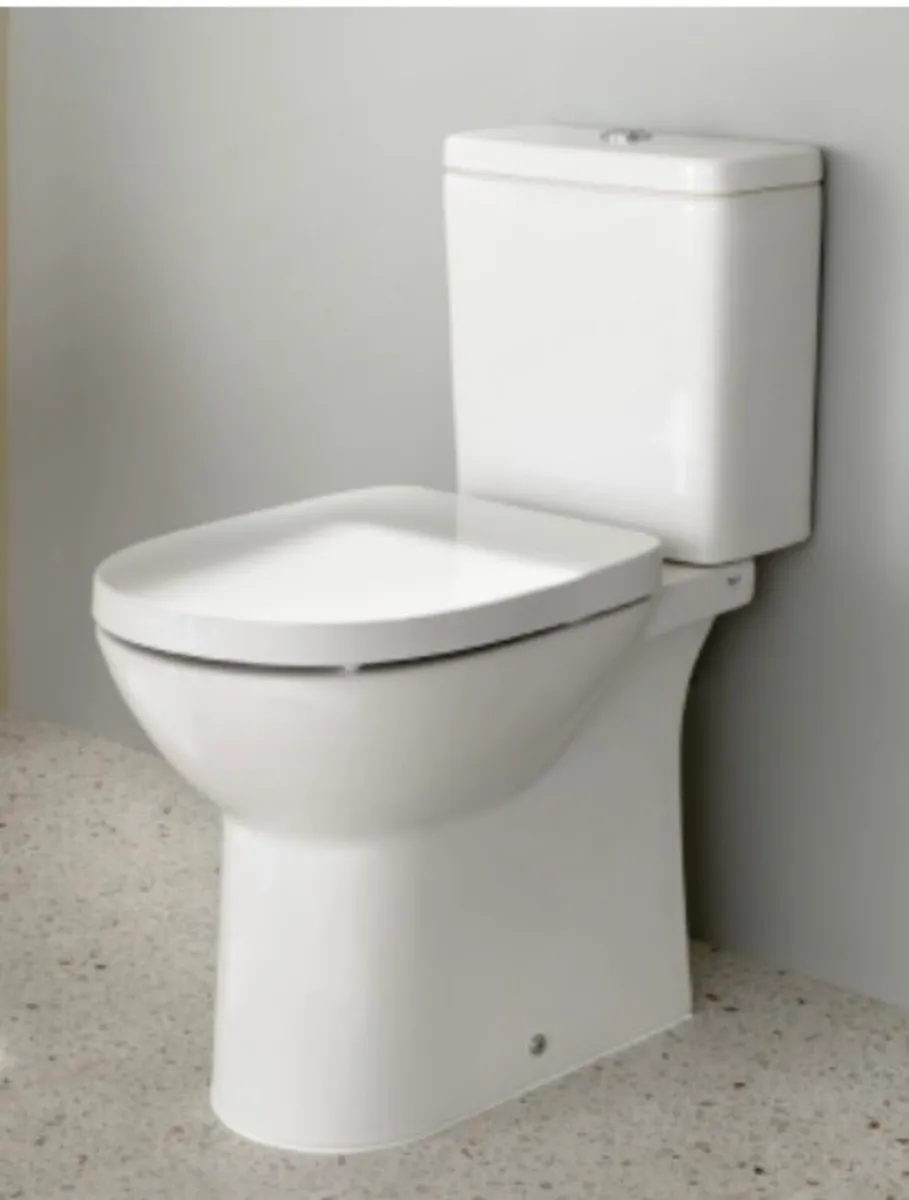 Roca toilet