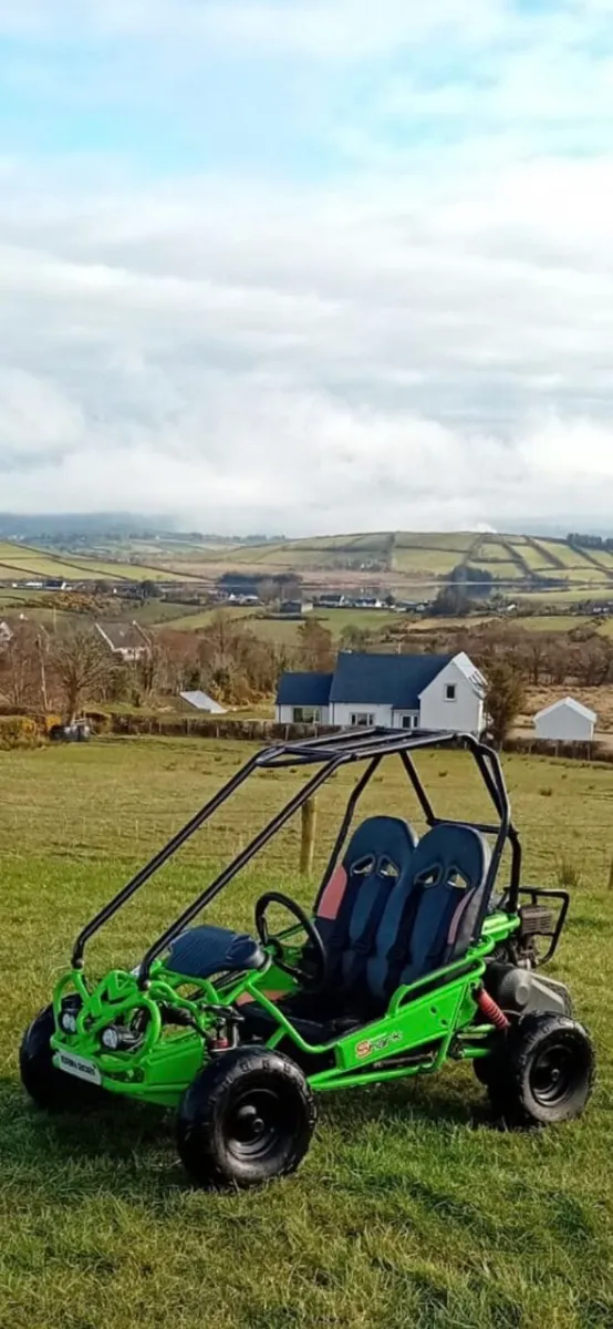 50cc petrol buggy 2seater - Image 2