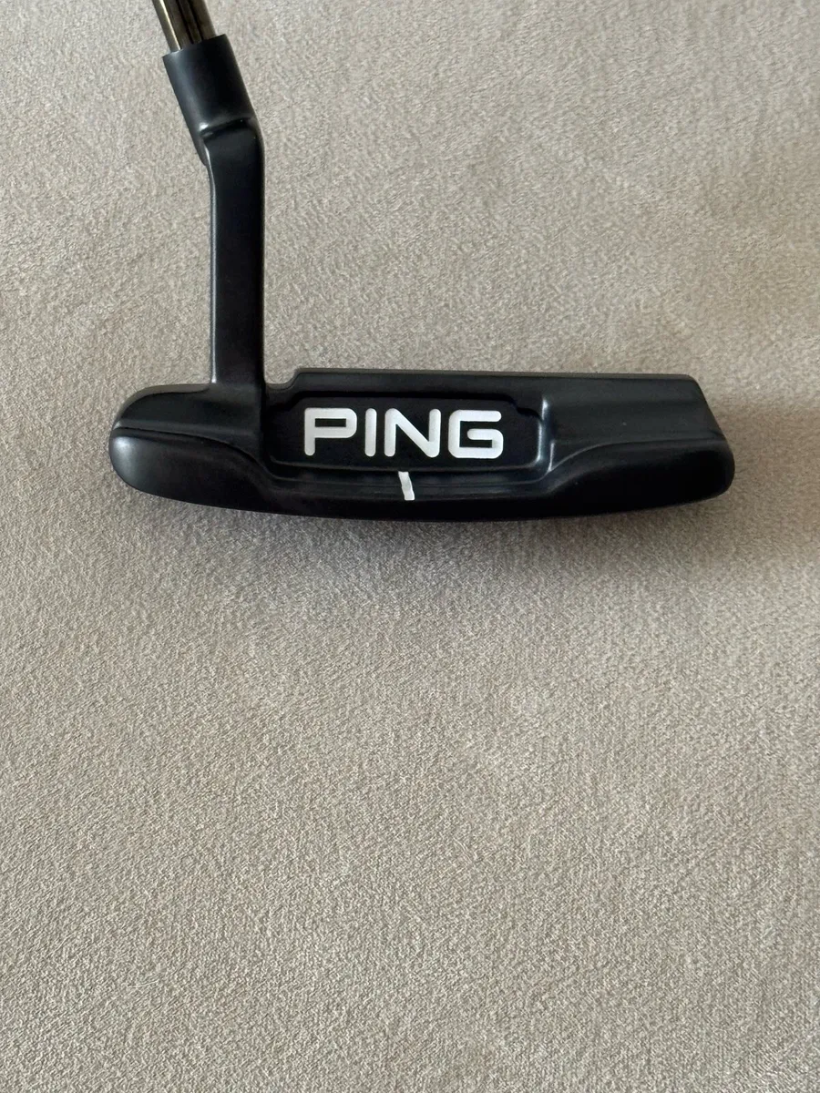 Ping Anser 2024 - Image 1