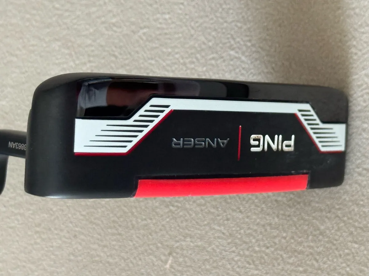 Ping Anser 2024 - Image 2