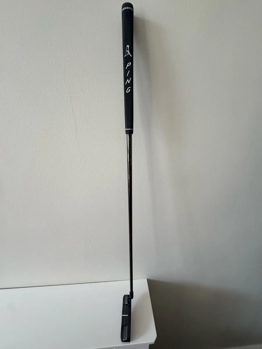Ping Anser 2024 - Image 3
