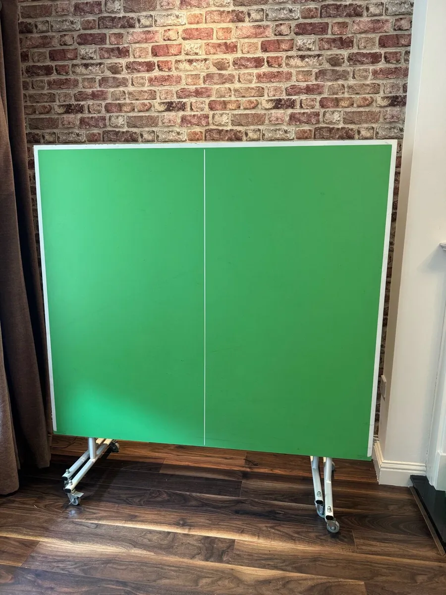 Table tennis (butterfly) - Image 3