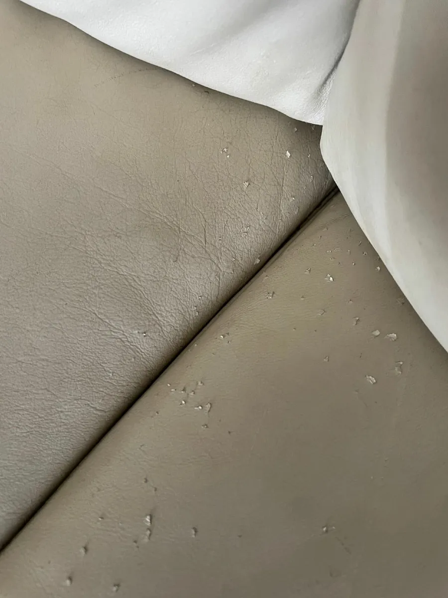 Leather sofabed - Image 2