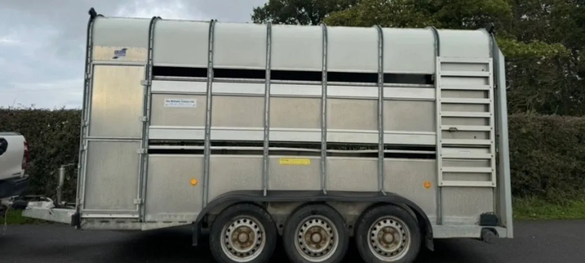 Ifor Williams TA510 14 ft  tri axle cattle trailer - Image 2