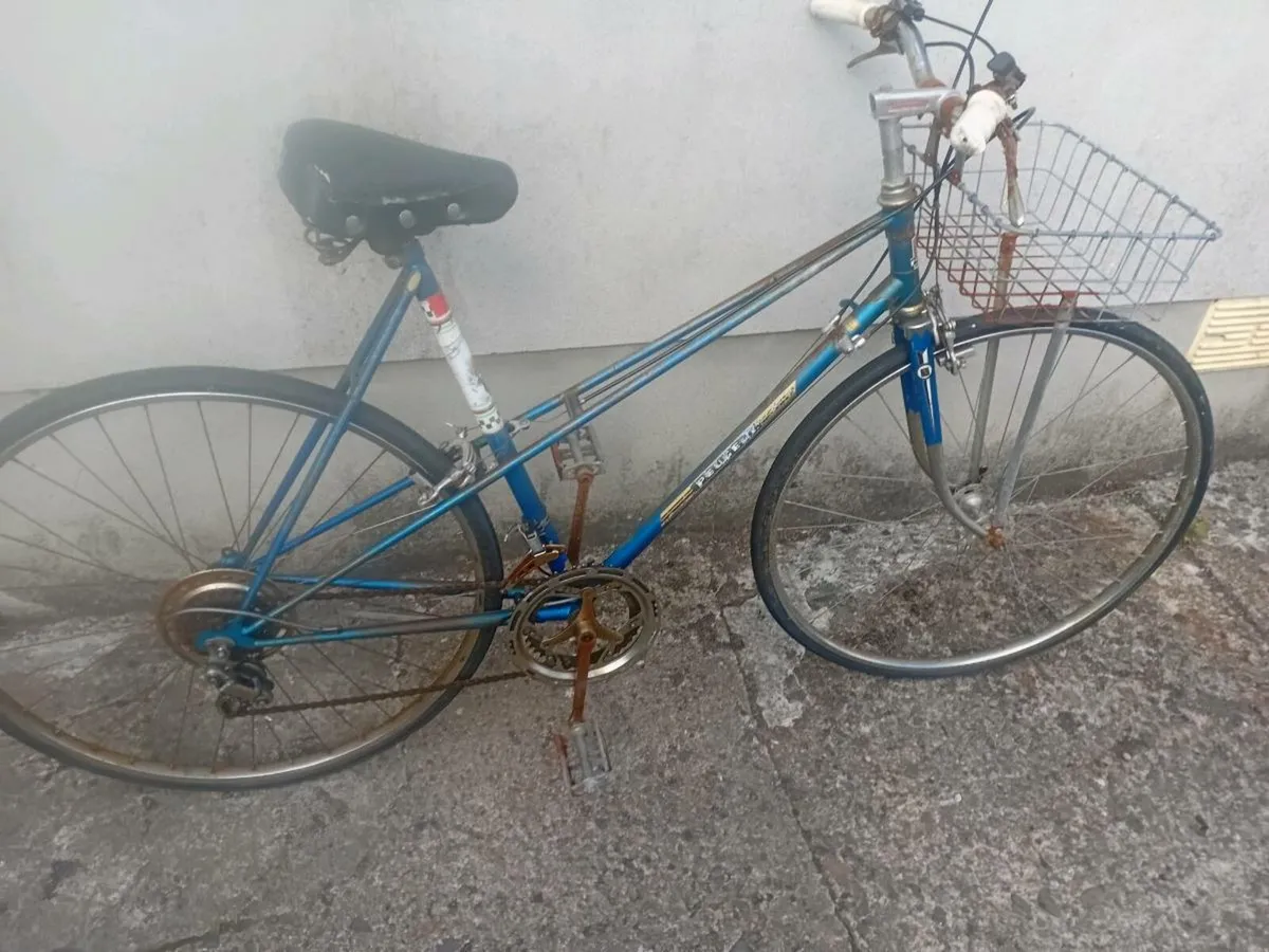 Adults bike - Image 1