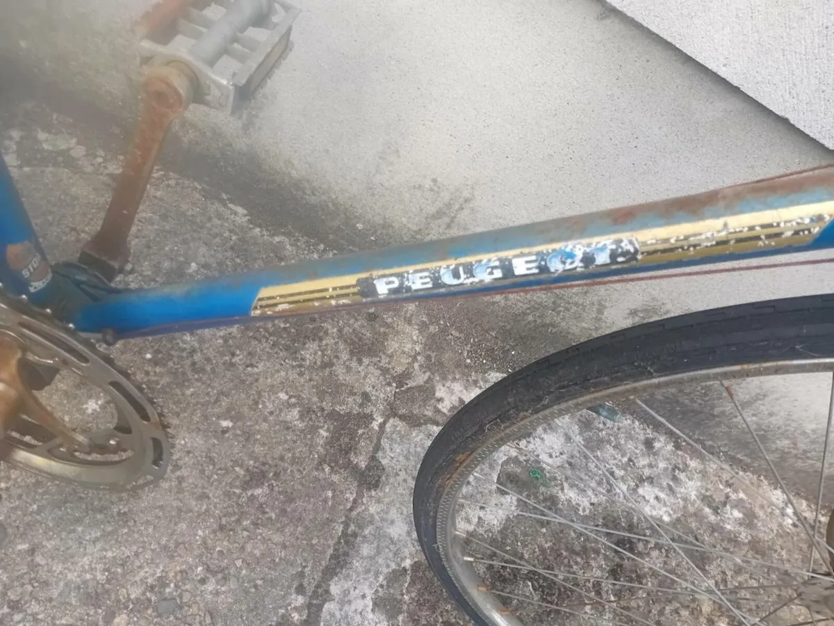 Adults bike - Image 2