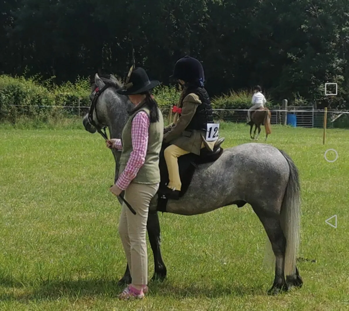 Welsh Section A - Image 1