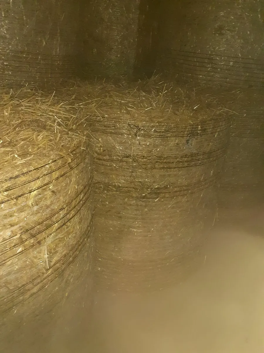 Barley straw - Image 3