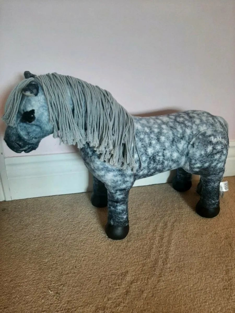 Mini Lemieux pony sam - Image 2
