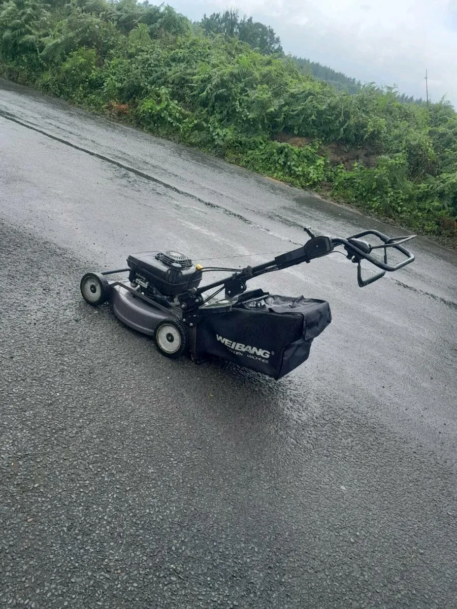 Lawnmower - Image 2