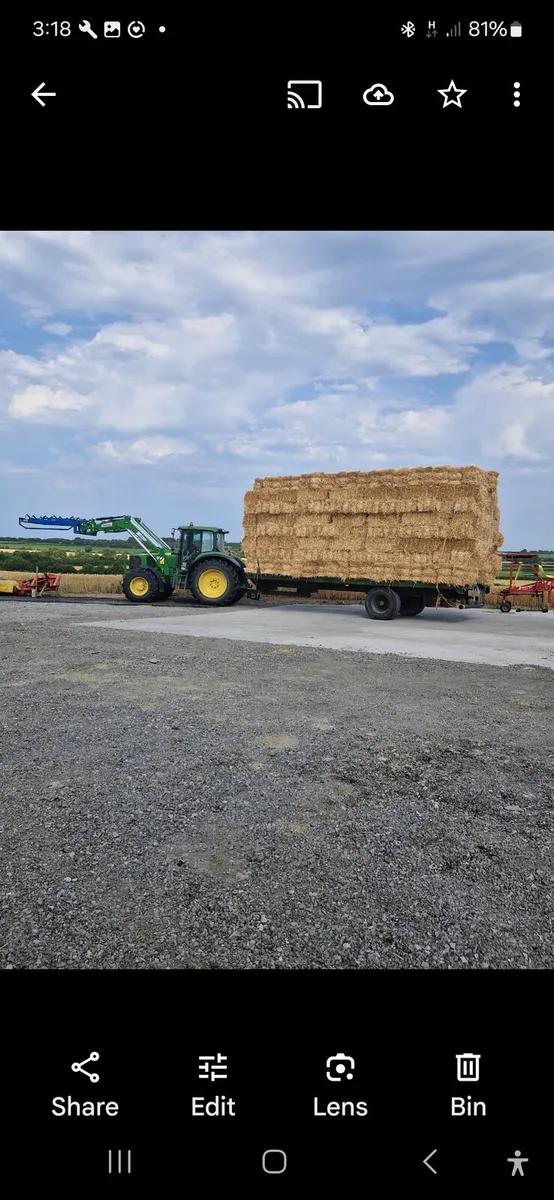 Straw - Image 2