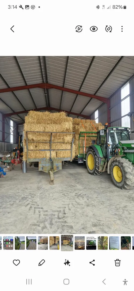 Straw - Image 3