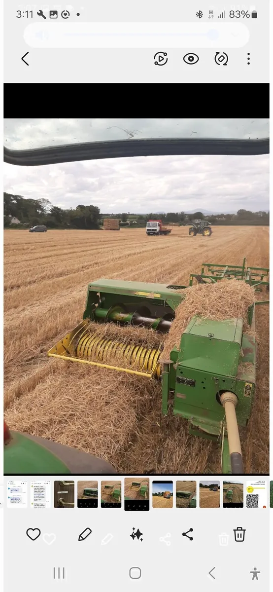 Straw - Image 4