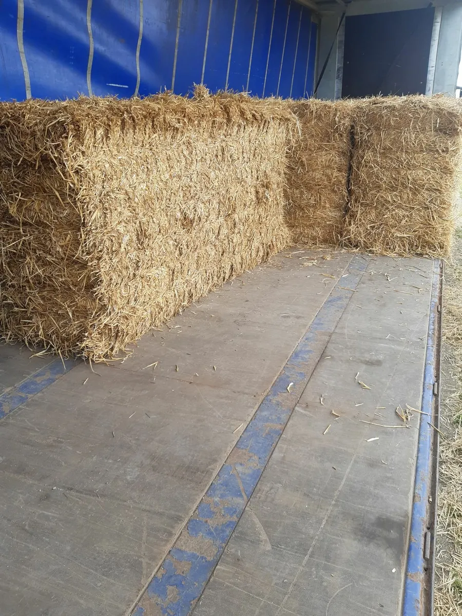 Straw 8x4x3 bales - Image 3