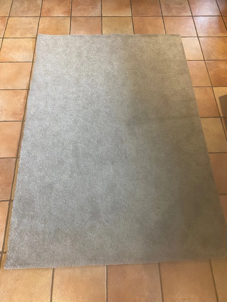 Rug - Image 1
