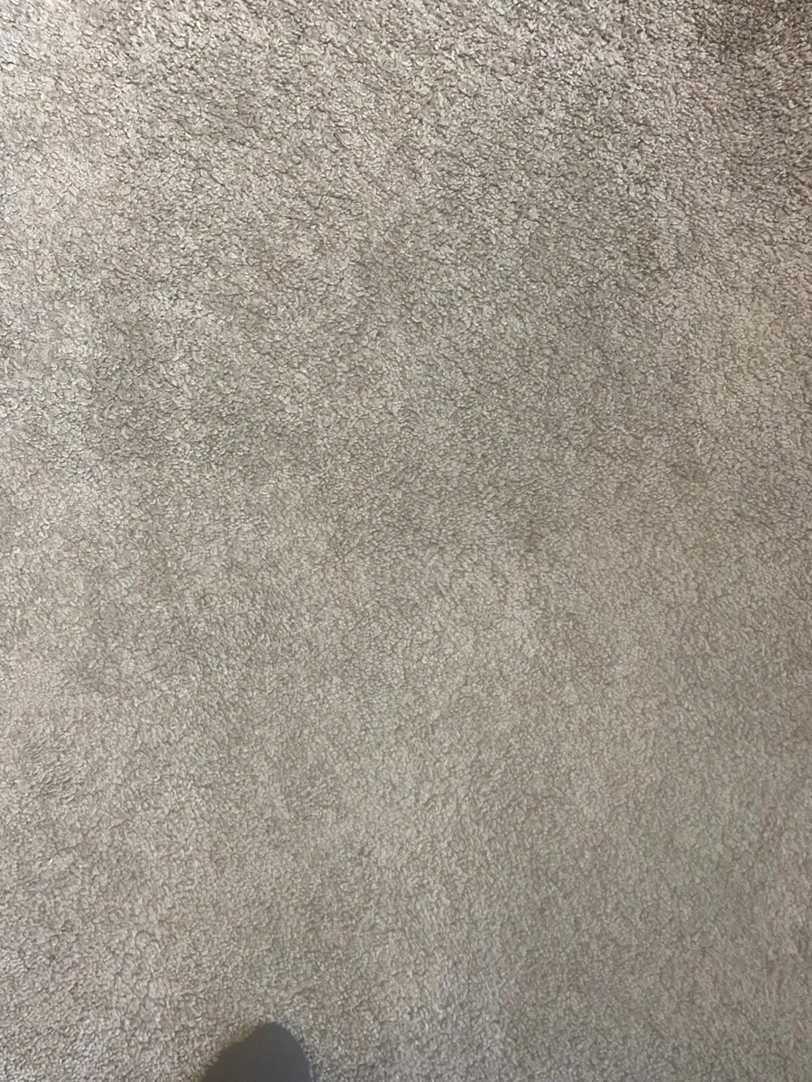 Rug - Image 2