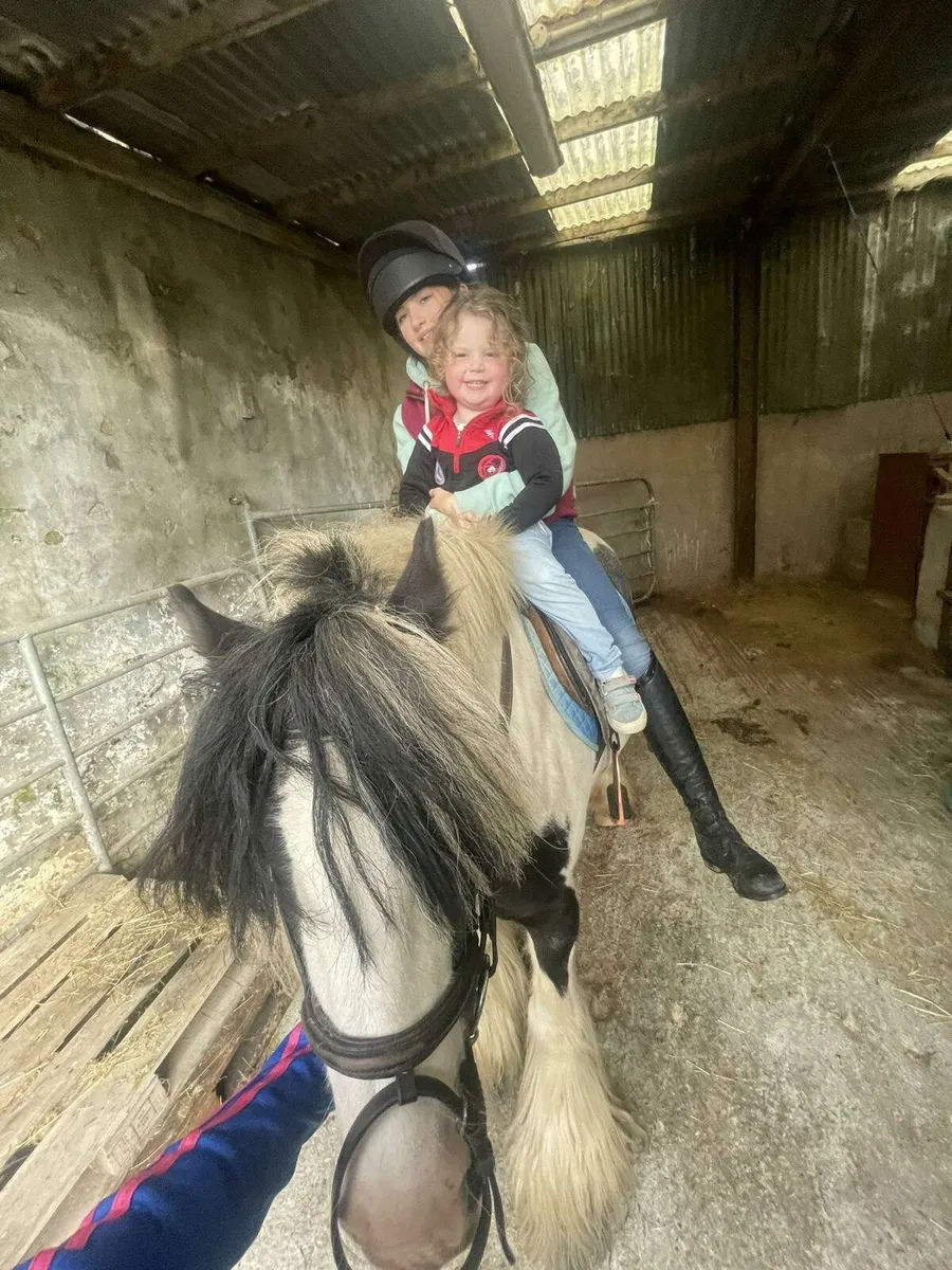 Pony - Image 2