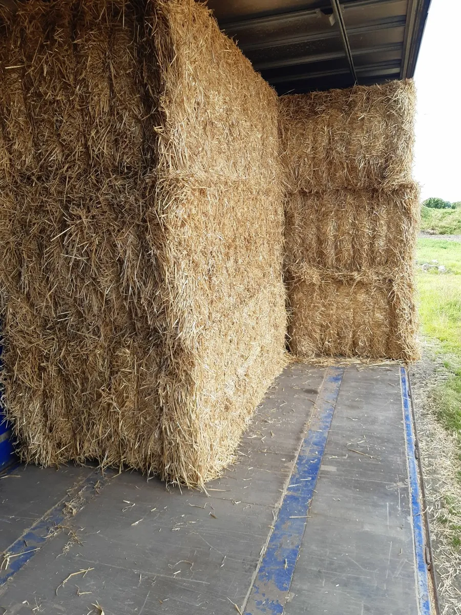 Straw 8x4x3 bales - Image 1