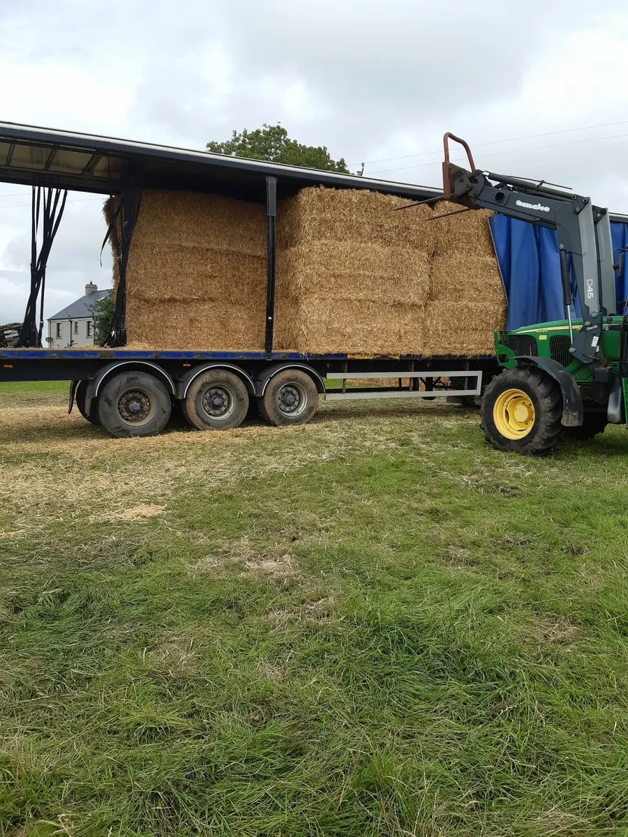 Straw 8x4x3 bales - Image 2