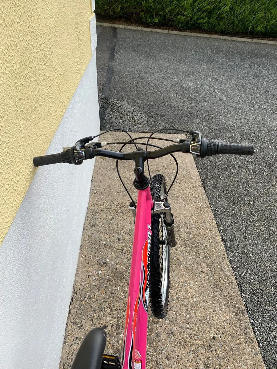 Ladies /Teenagers Bike - Image 3