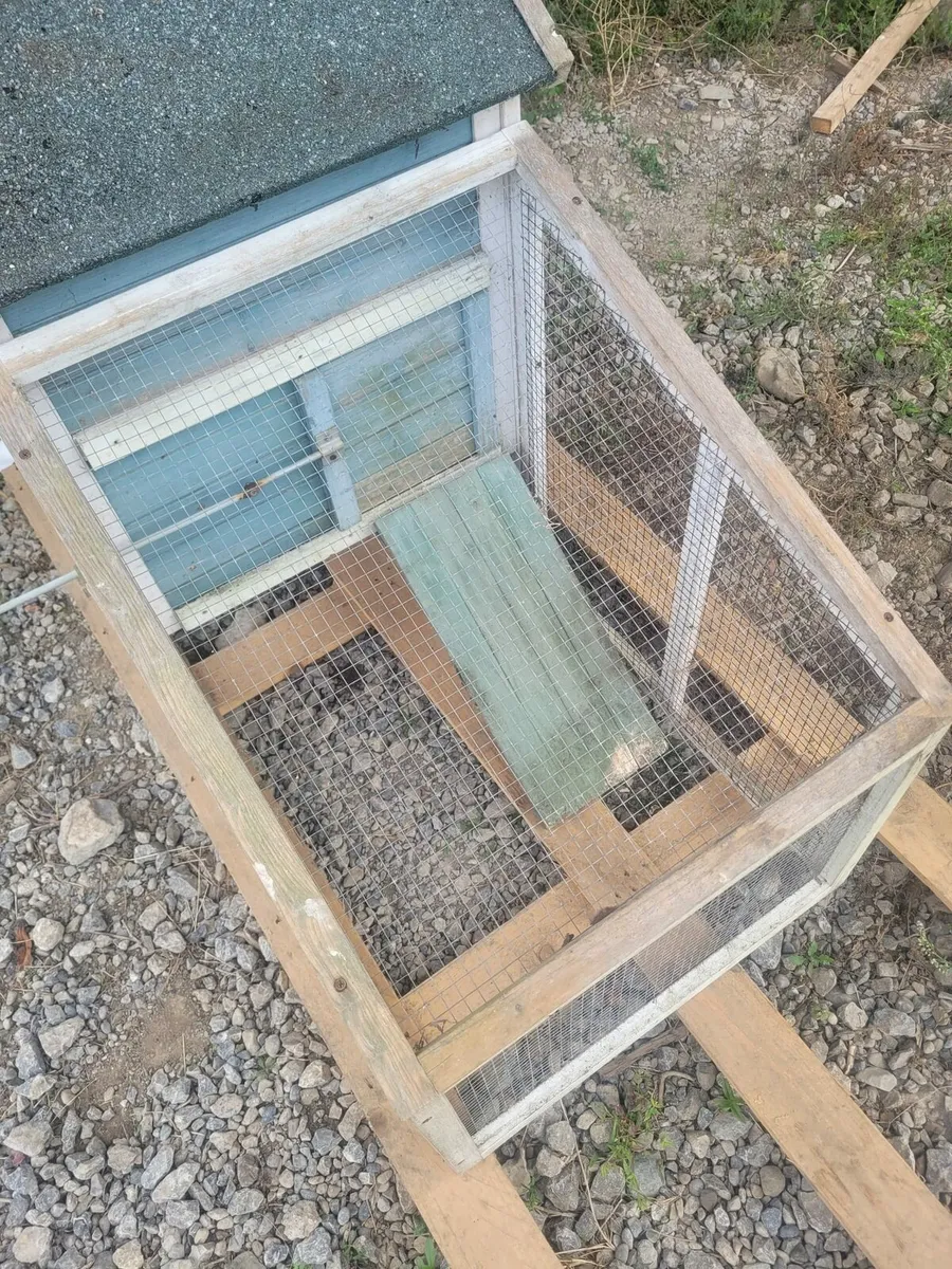 Chicken coop - Image 4