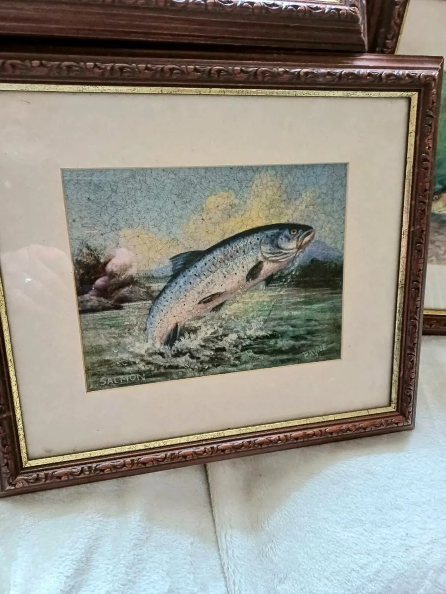 Collectible Fish & Wildlife Pictures - Image 4