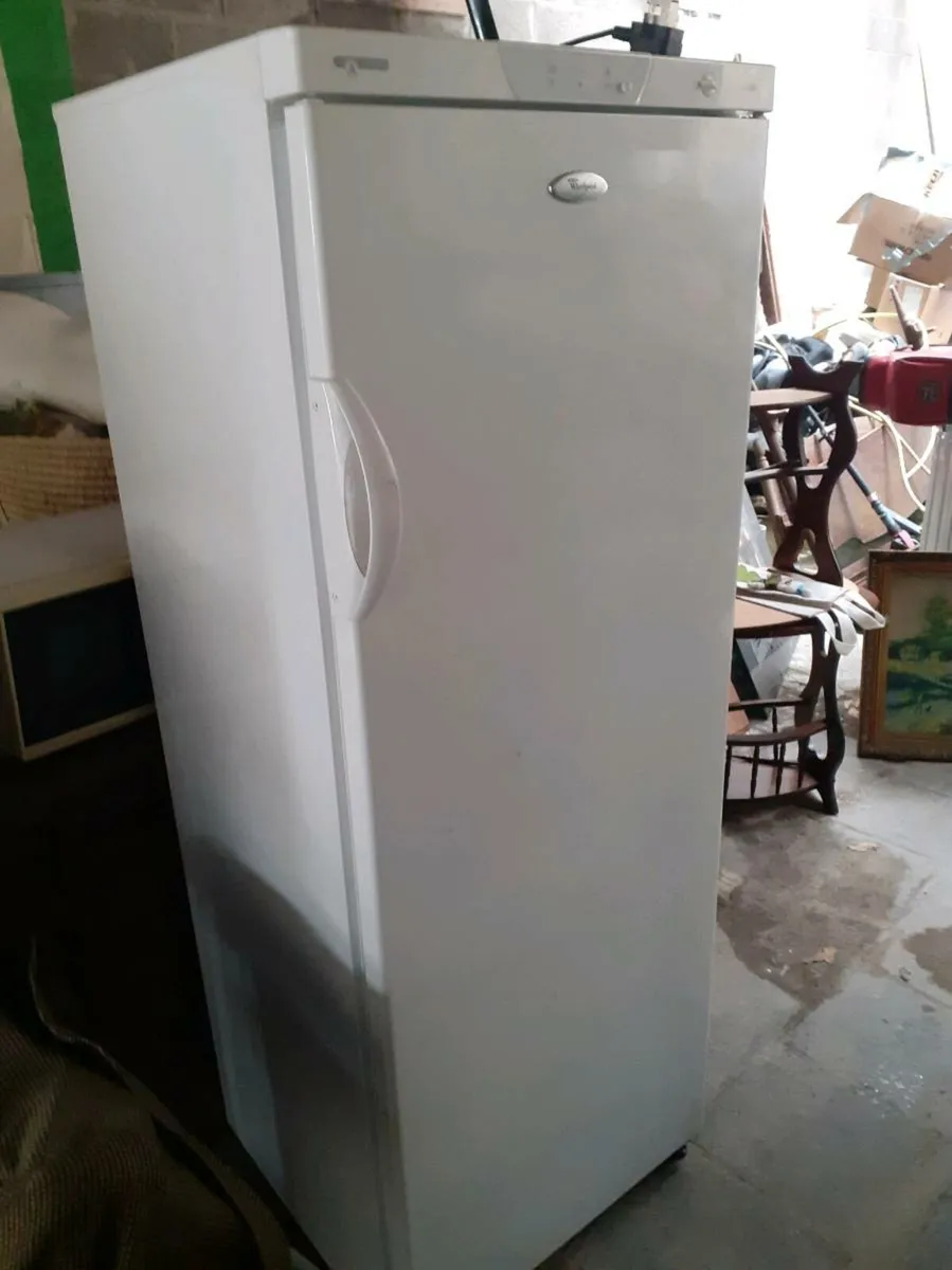 Tall freezer unit - Image 1