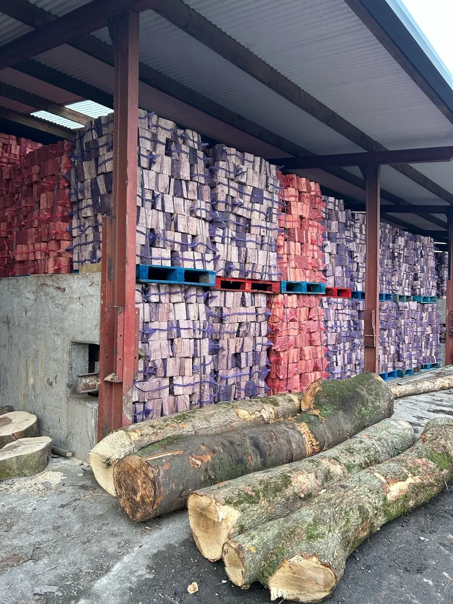 Firewood (Net Bags) - Image 4