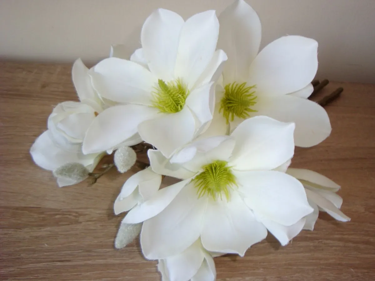White magnolia short stems - Image 2