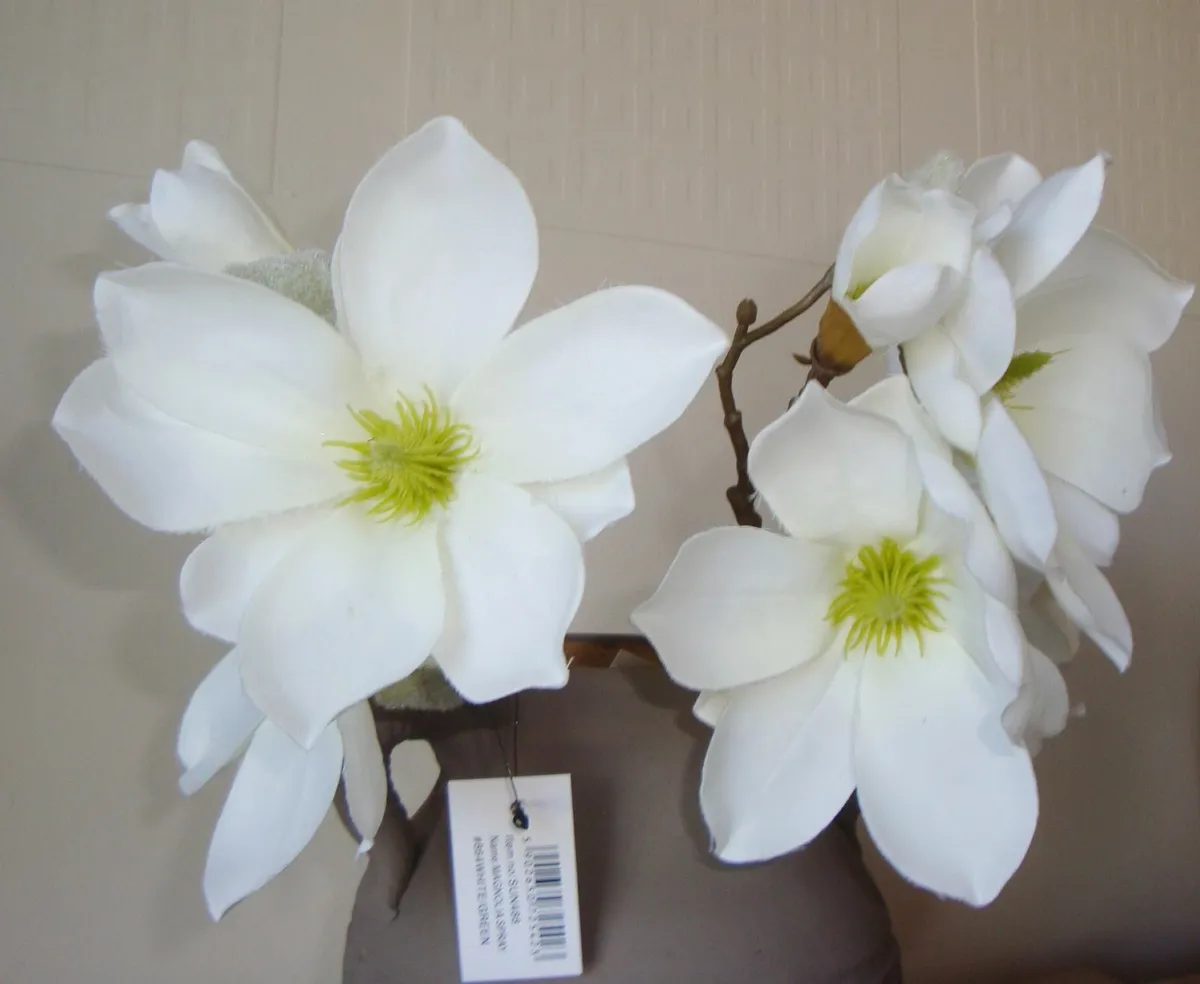 White magnolia short stems - Image 3