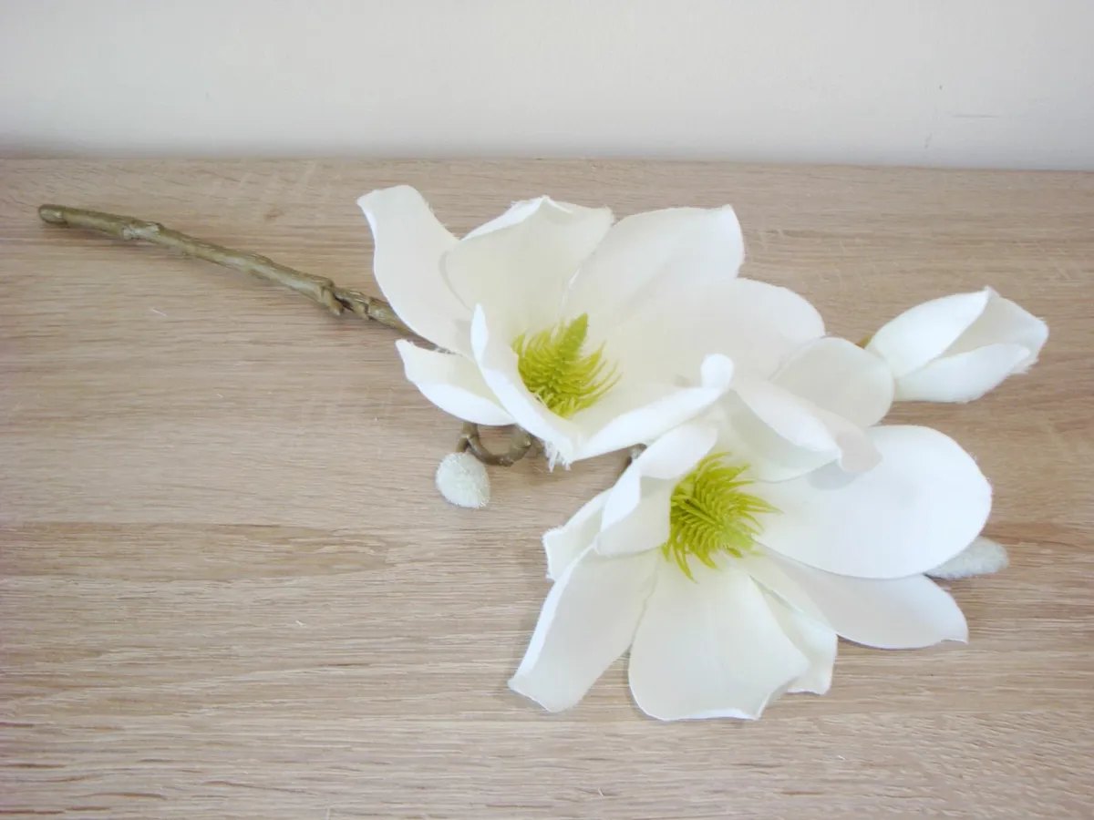 White magnolia short stems - Image 4