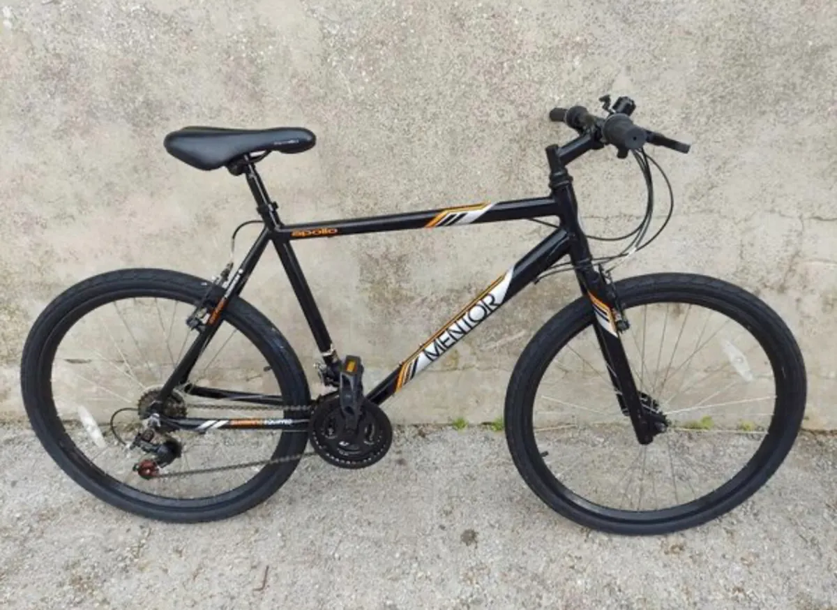 Adult bicycle