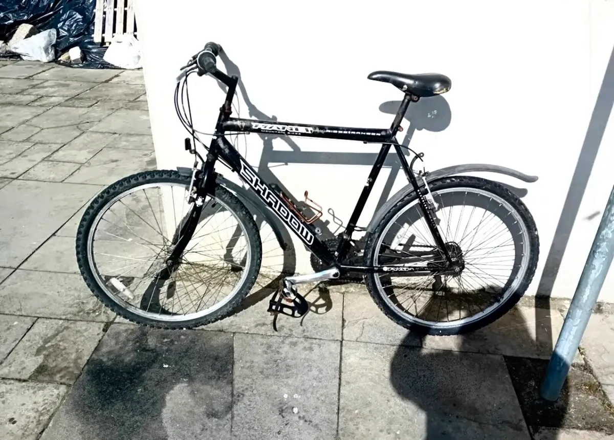 Adult bicycle