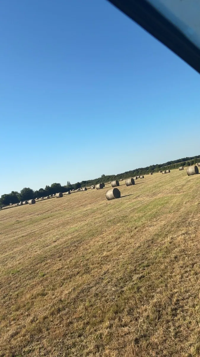 Super quality hay