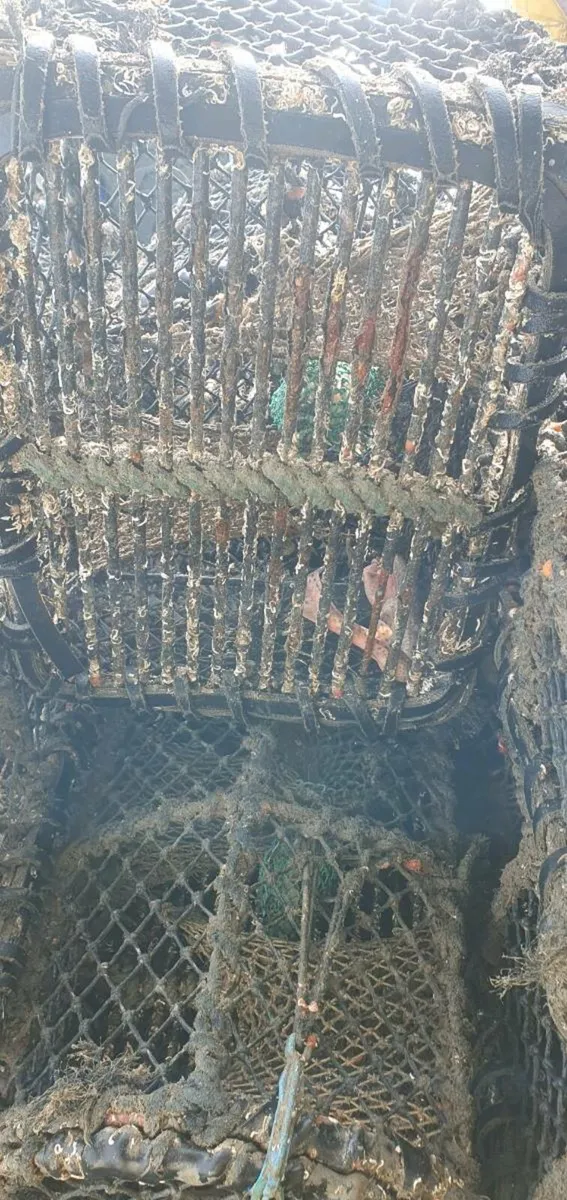 Lobster pots - Image 1