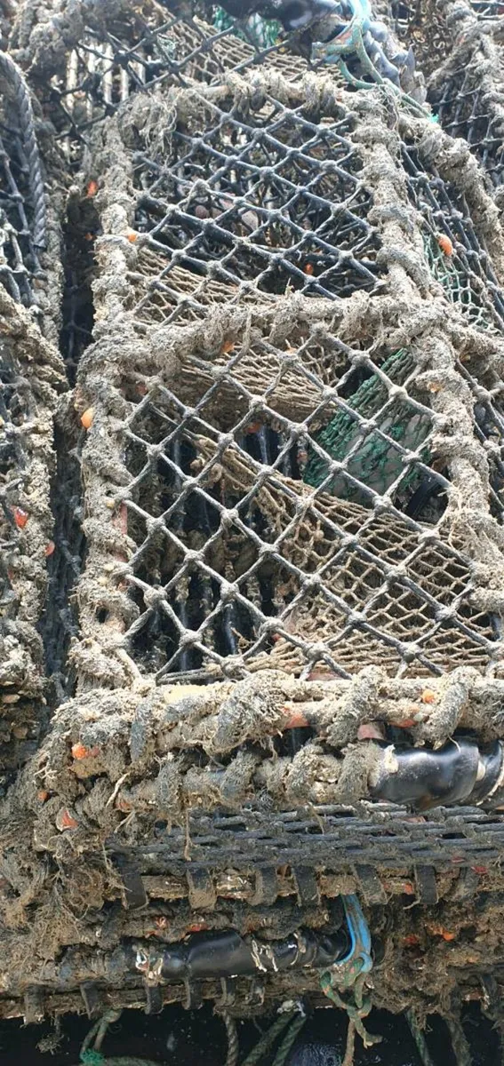 Lobster pots - Image 2