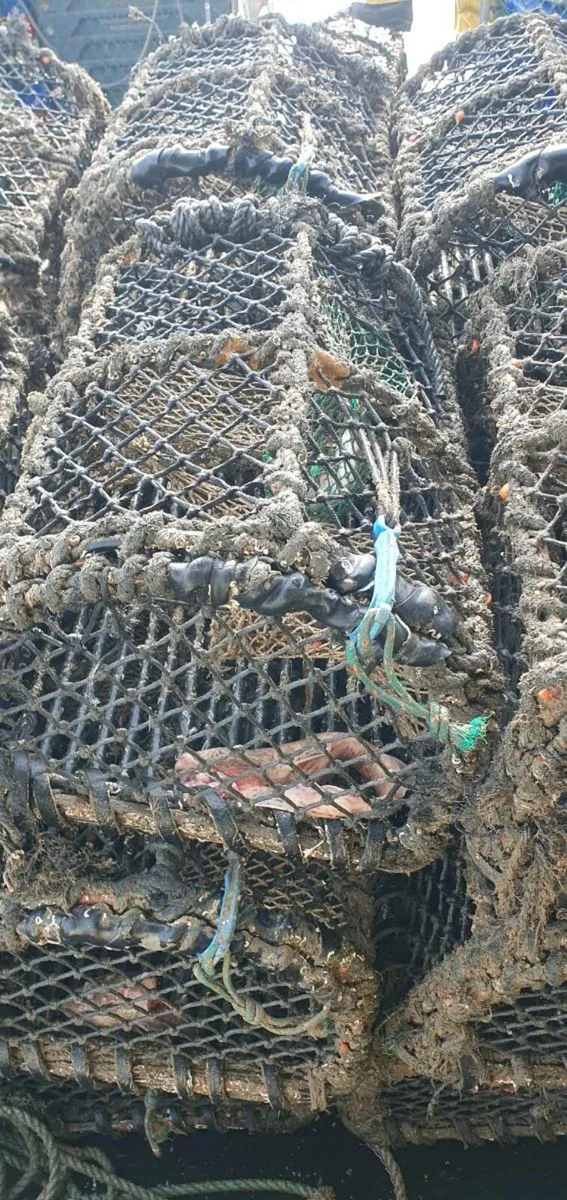 Lobster pots - Image 3