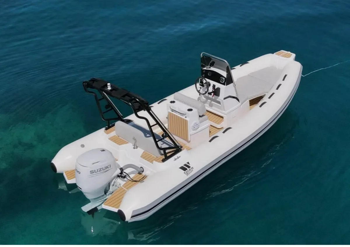 Tiger Proline 550 RIB - Image 3