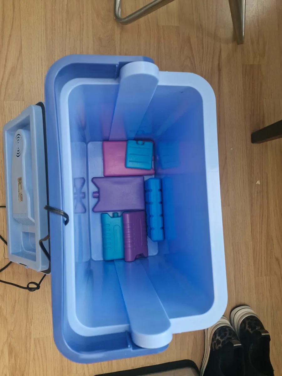 Electric car coolbox - Image 2