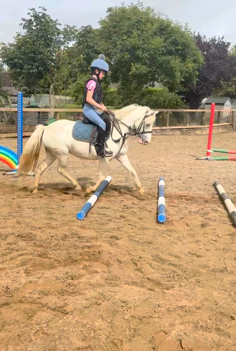 Pony - Image 2