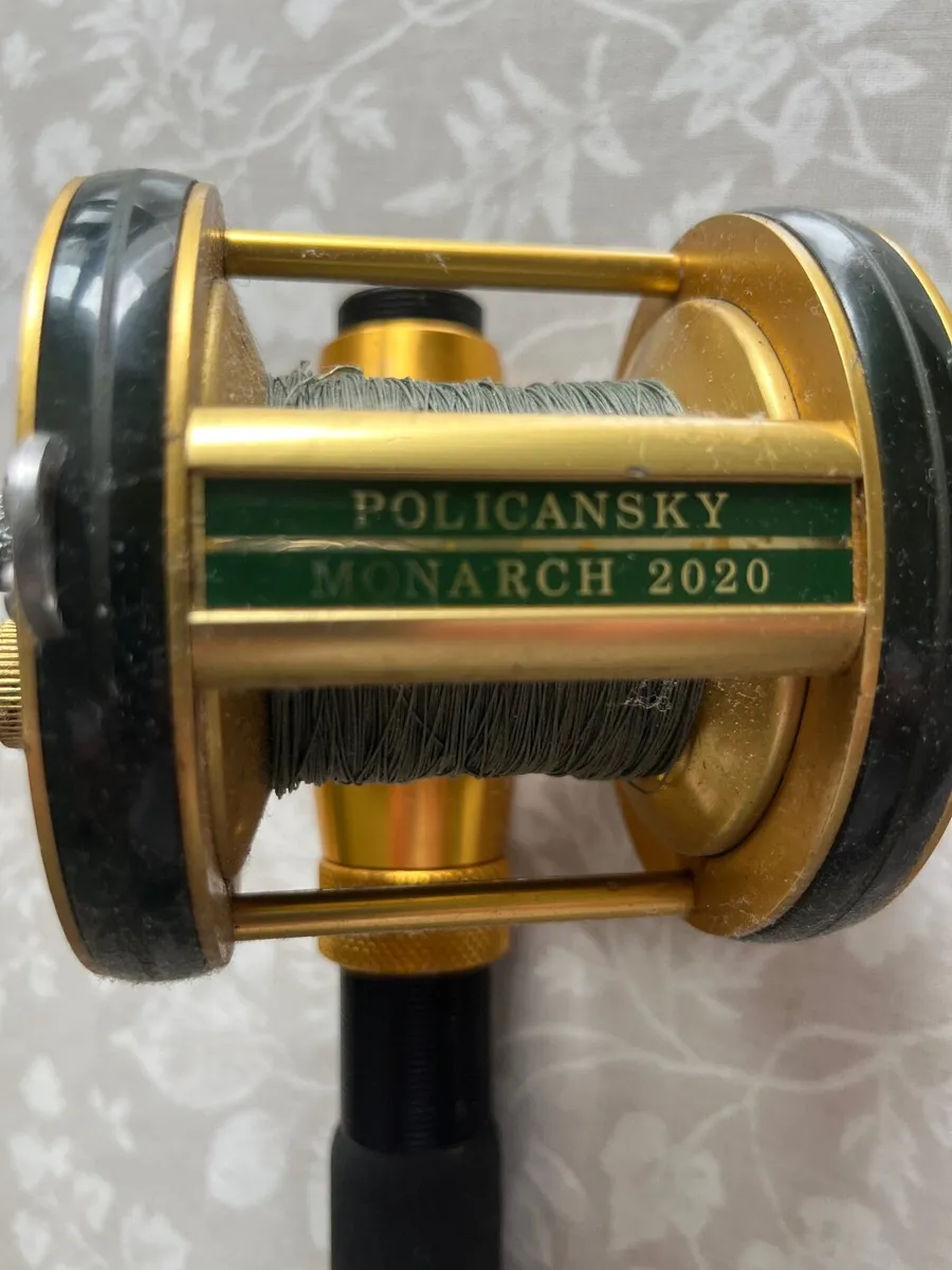 Fishing rod and reel - Image 2