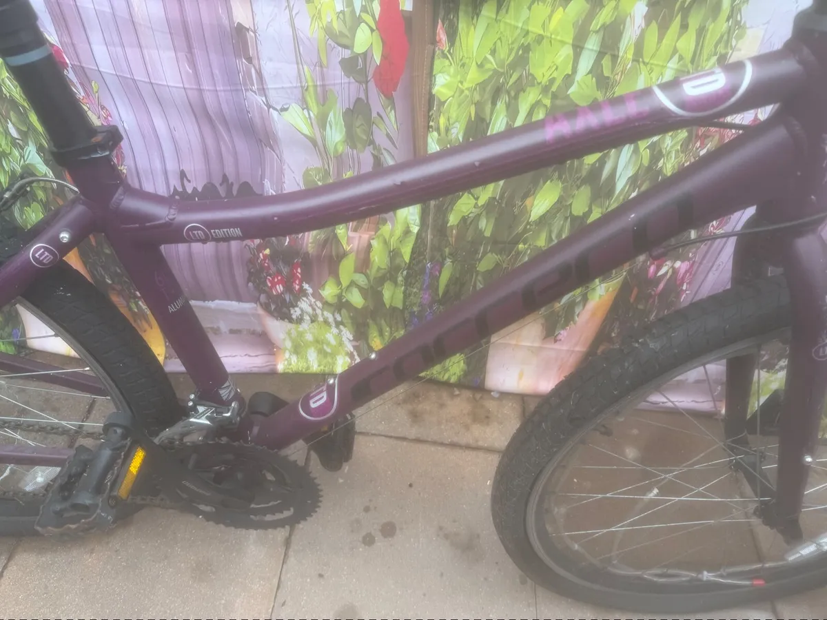 Bike - Image 1