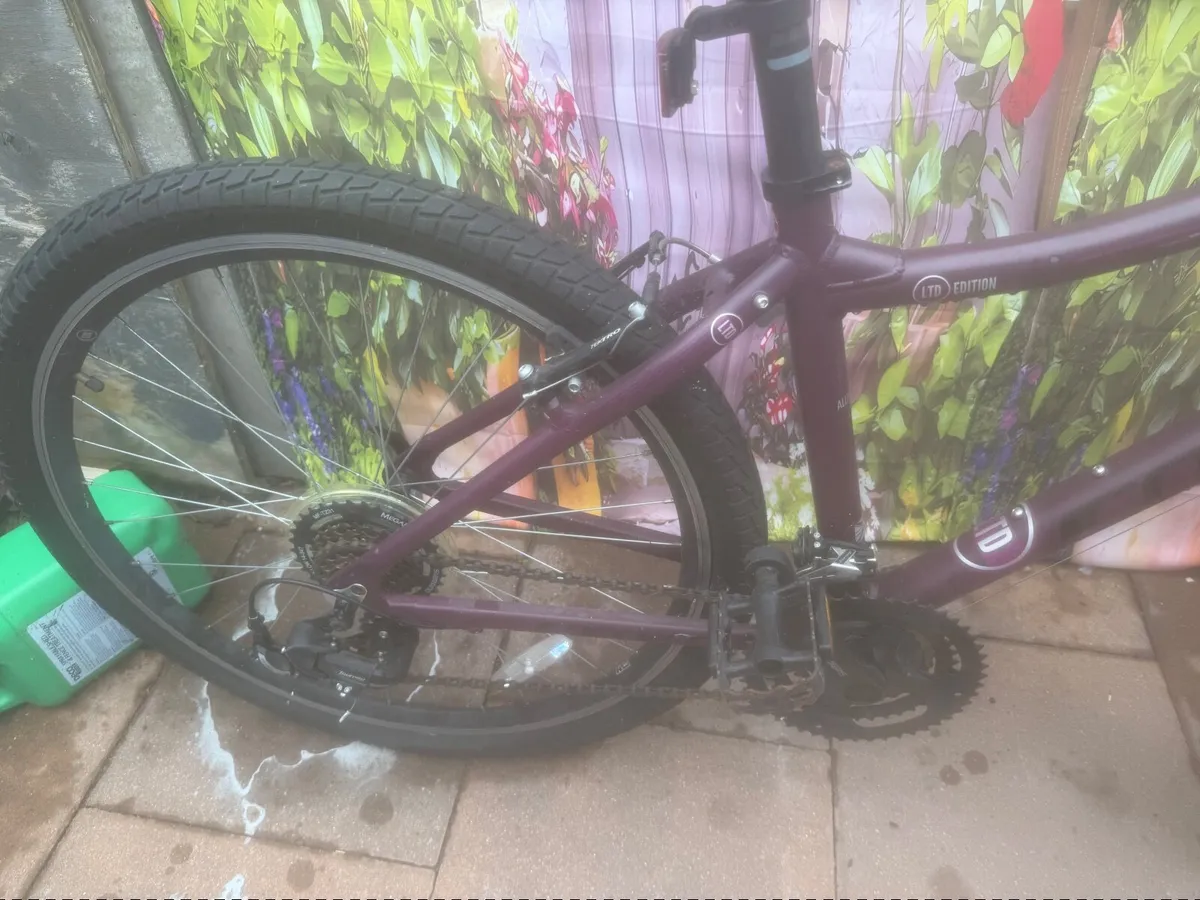 Bike - Image 2