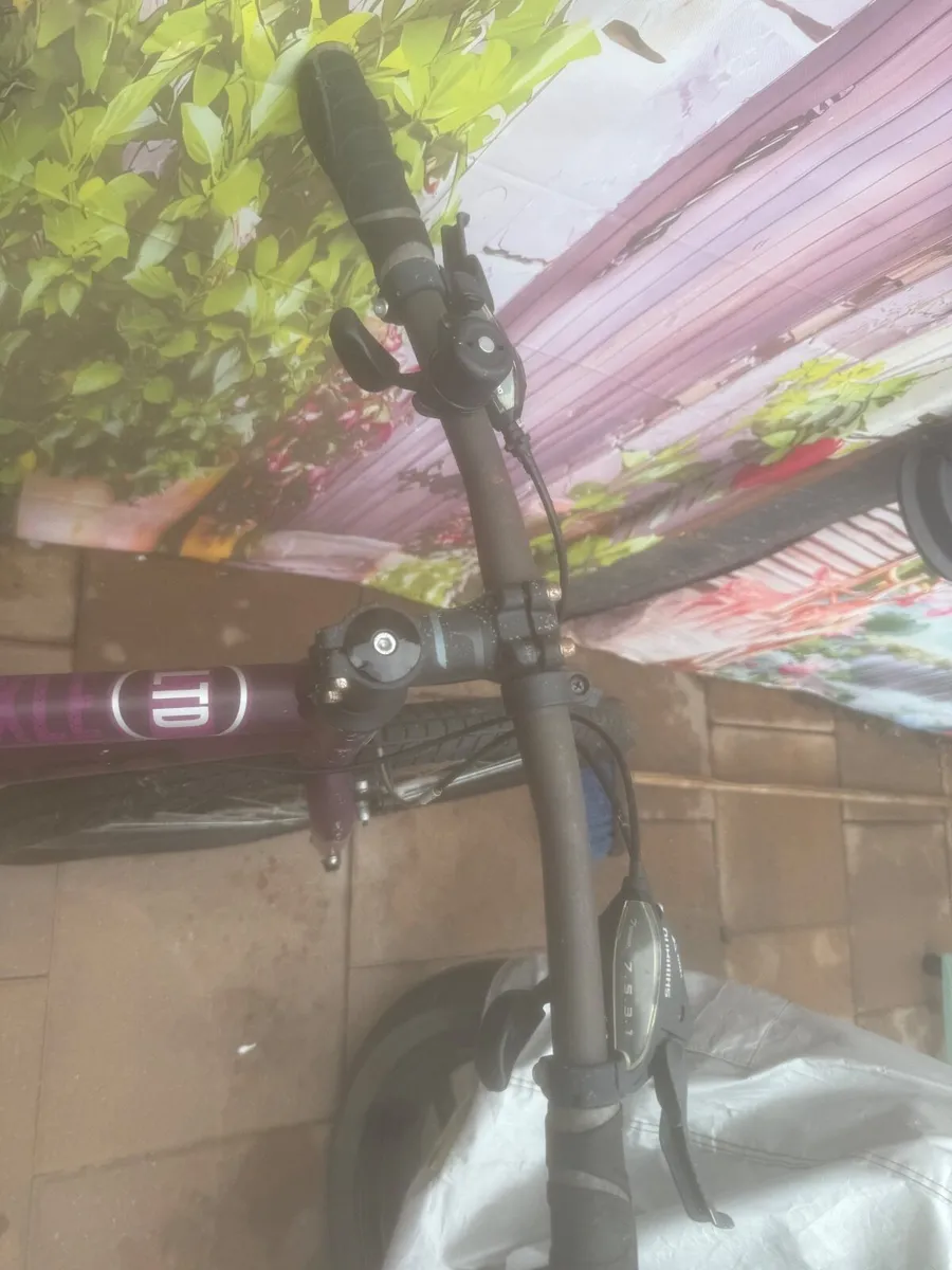 Bike - Image 3