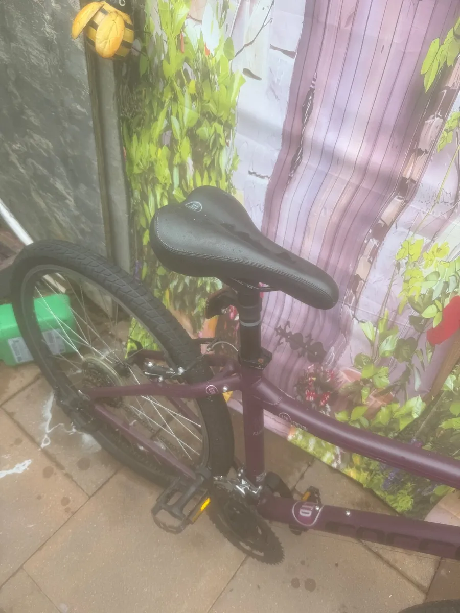 Bike - Image 4