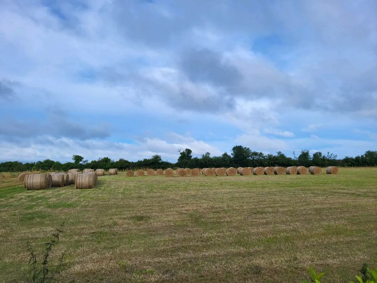 Hay 4x4 round bales - Image 1