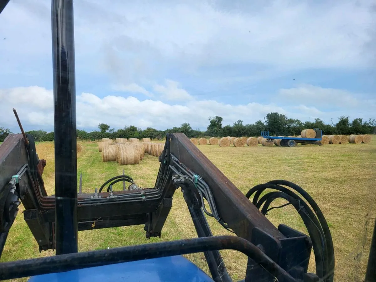 Hay 4x4 round bales - Image 4