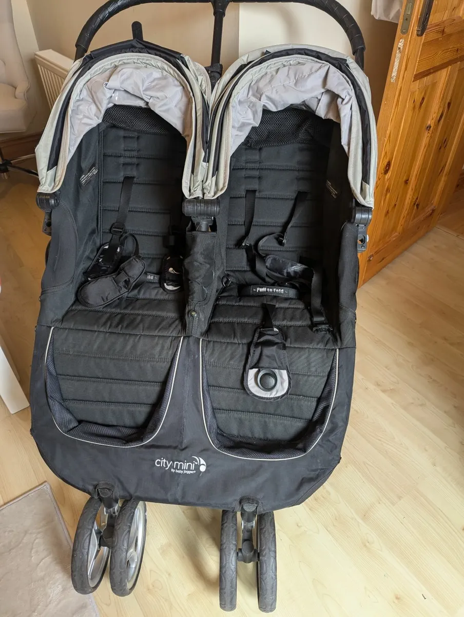 Double buggy - Image 1
